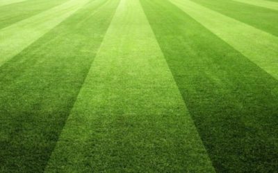 The Problem With PFM Reform ‘Best Practices’