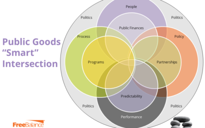 Building the Smart Government Balanced Scorecard