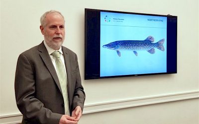 Public Financial Management Drives SDGs Success