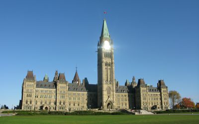 Why does  FreeBlance Focus on the Global Government Market?