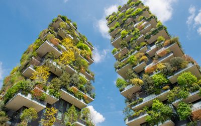 Sustainable Development Lessons from IMF/WB Spring Meetings