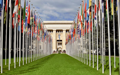Smart and Open Government Weekly News Roundup