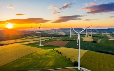 FreeBalance Commits to a Sustainable Future