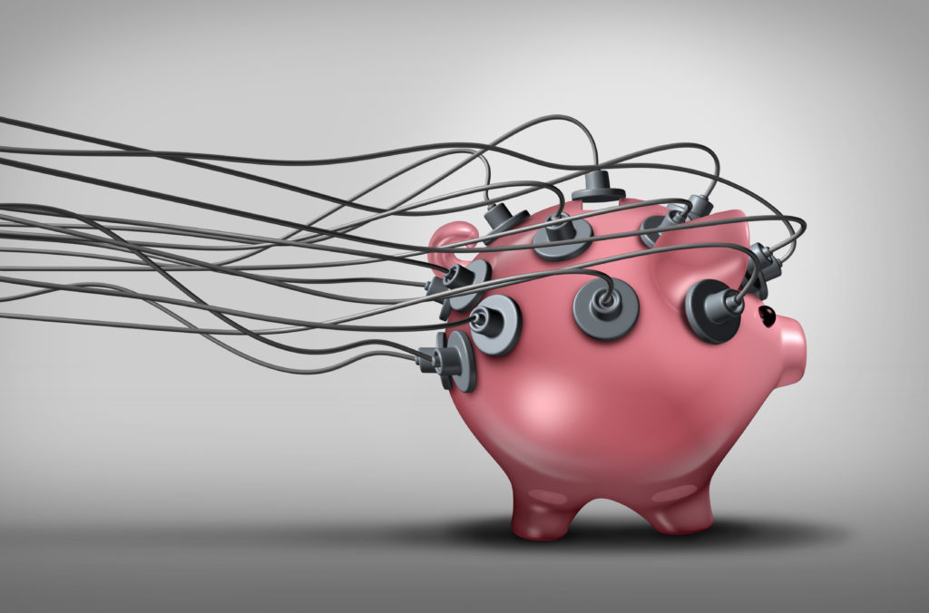 What is Performance Budgeting?