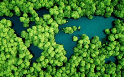 Social Responsibility News Roundup