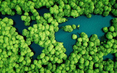 How Can a Strong PFM System Help to Deliver the SDGs?