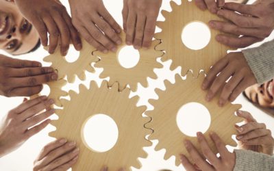 Public Financial Management and the Budget Cycle